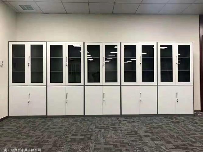云南正冠辦公家具有限公司 產品展廳 >怒江文件檔案柜廠家定制生產