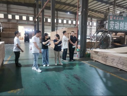 廣西扶綏發(fā)出首張人造板產品生產許可證